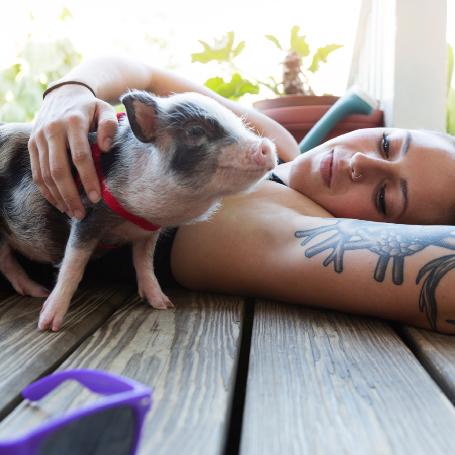 woman laying down with a pet pig