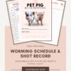 pet pig health care maintenance