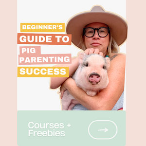 New Piglet Course and Printable Guide