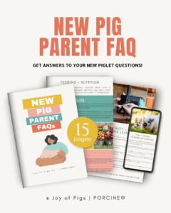 New Pig Parent FAQ Frequently Asked Questions